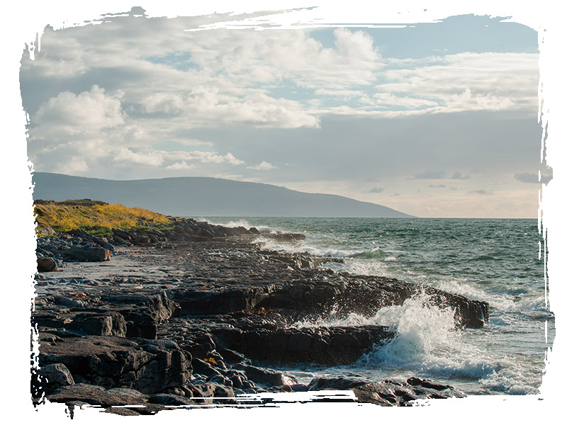 Sea Cliffs